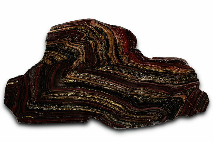 Polished Tiger Iron Stromatolite Section - Billion Years #353262